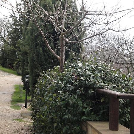 Agriturismo Le Valli Hotell Acuto Eksteriør bilde