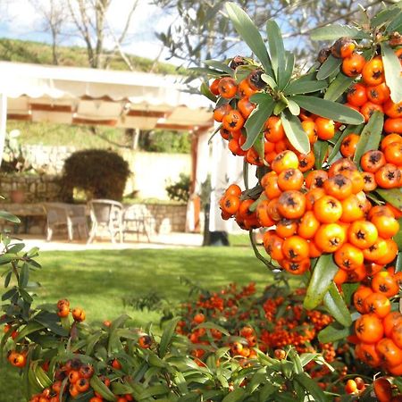 Agriturismo Le Valli Hotell Acuto Eksteriør bilde