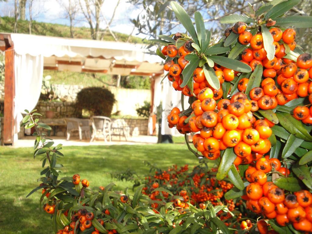 Agriturismo Le Valli Hotell Acuto Eksteriør bilde