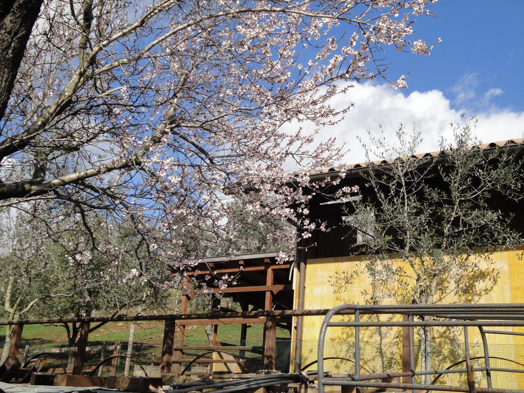 Agriturismo Le Valli Hotell Acuto Eksteriør bilde